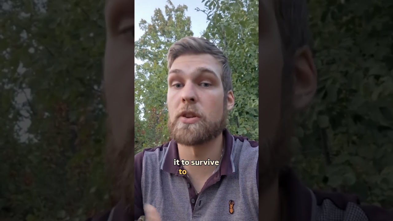 The trickster Gods of Heathenry: Odin and Loki