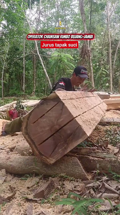akhirnya mengeluarkan jurus pamungkas 🤣🤣 #operatorchainsaw #pejuangrupiah #woodworking