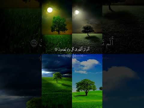 حالات واتساب حزينة حالات انيستا عبارات حزينة فيديوهات جميلة جدا اشترك الان بلقناة المتواضعة Short