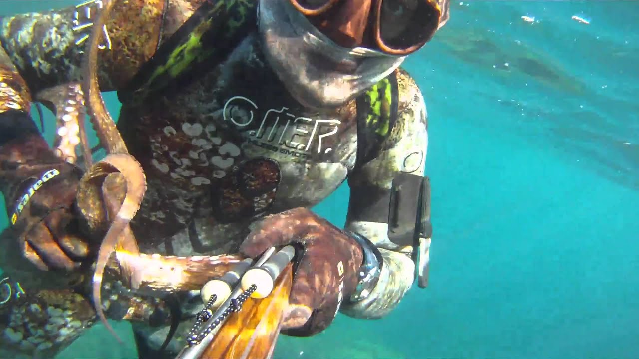 Explorer Scuba Diving Dive 2&deg; Stadio Regolatore Immersione Polpo Hookah