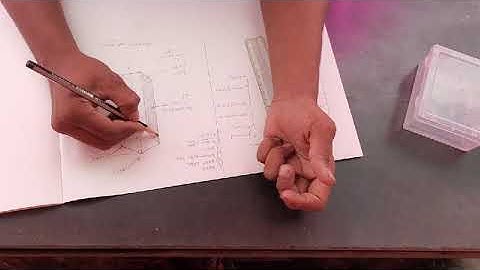 Lecture 1: development of lateral surface part:1