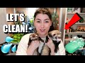 How I Clean My Ferret Cage | Emzotic