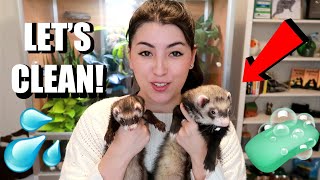 How I Clean My Ferret Cage | Emzotic