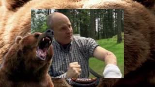 Нападения На Людей Животными