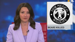 4 bears killed along I-25 in New Mexico