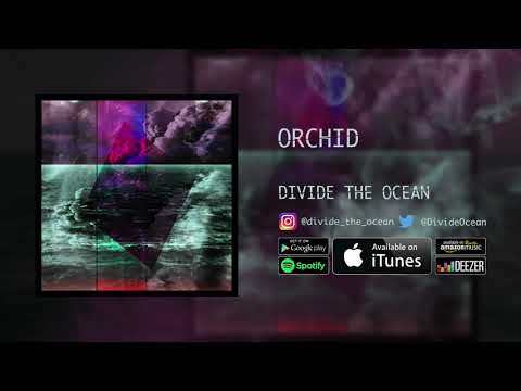 Orchid - Divide