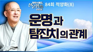 운명과 탐진치와의 관계가 궁금하다![문광스님 화두의 바다 선문염송 84회 적양화(8) 전체영상] #문광스님 #화두