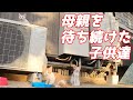 避妊手術を受けた三毛母猫が子猫達の元に帰ってきました[母猫と赤ちゃん猫]