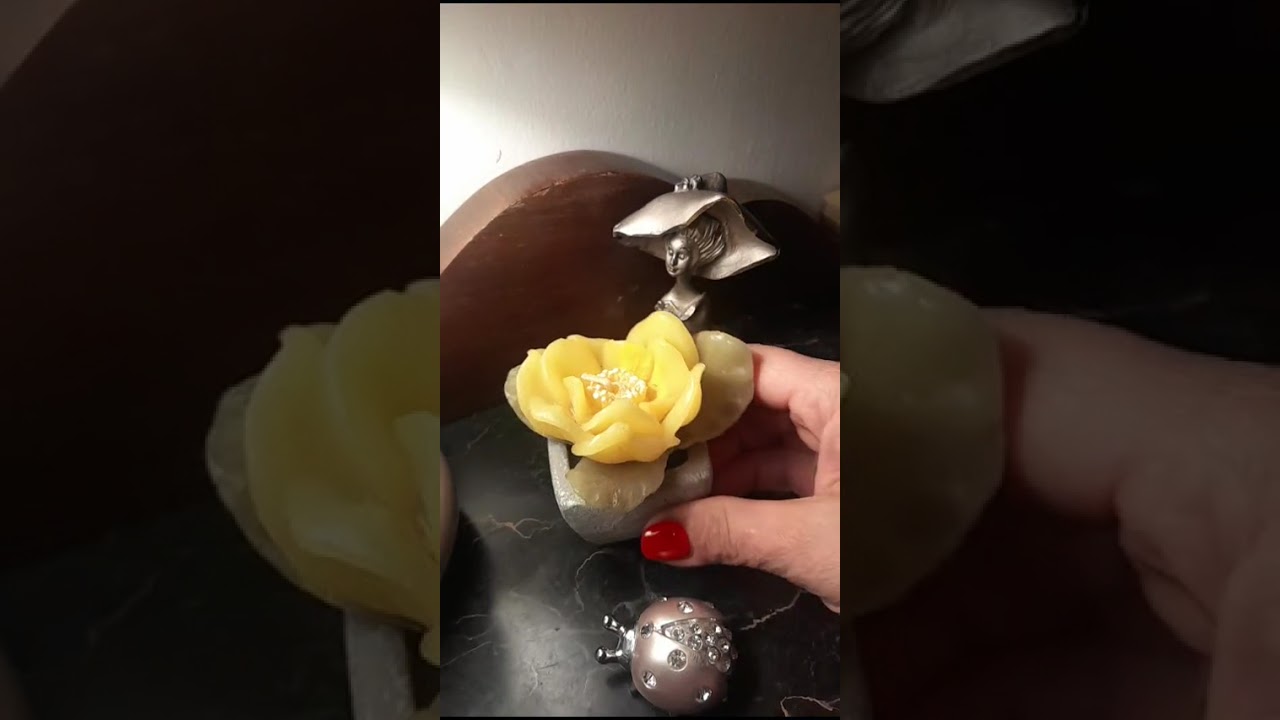 უპრეცედენტო..უცნაური💯🤔🤔