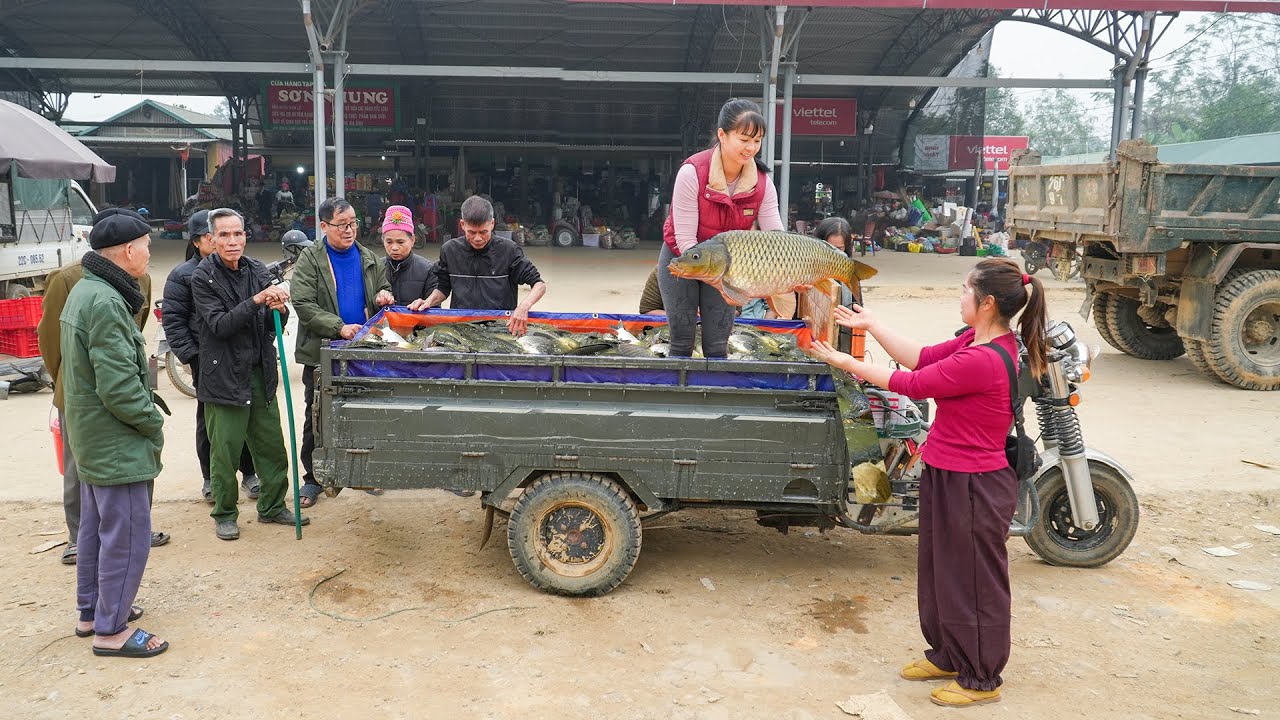 Use Truck To Buy 124 KG of Large Carp for 50,000 Dong -- People Flocked To The Market To Buy Carp