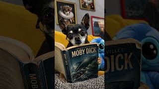 COMO EU LEIO LIVRO ESTRANGEIRO