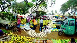 Exotic Upbeat Electronic Instrumental Background Music // Exotic Market by Netuno