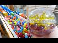 A handmade marble run course. Vol. 100 (4K) – A milestone 100th video. A soothing ASMR experience.