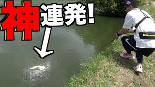 【神回】伝説のバス釣りルアー「グリフォン」の神連発が俺に起こってしまった。