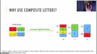 Optimizing Composite DNA Letters for High Density Information Encoding
