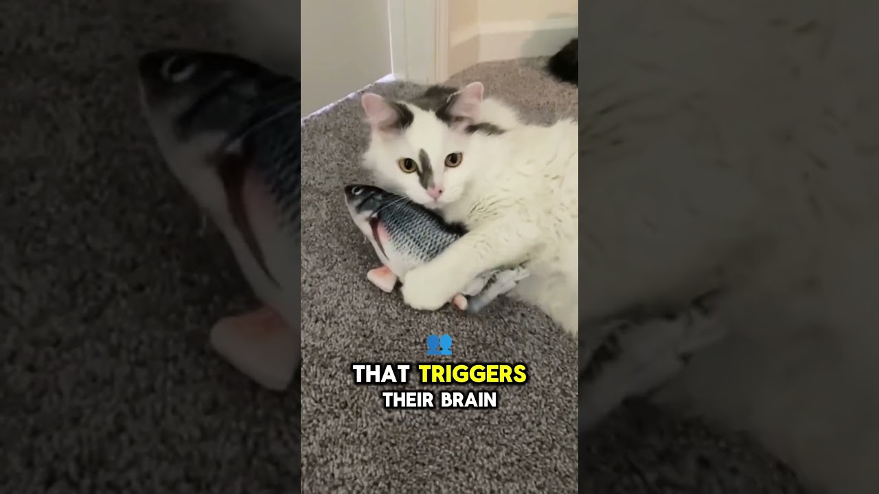 The Science Behind Why Cats Love Fish 