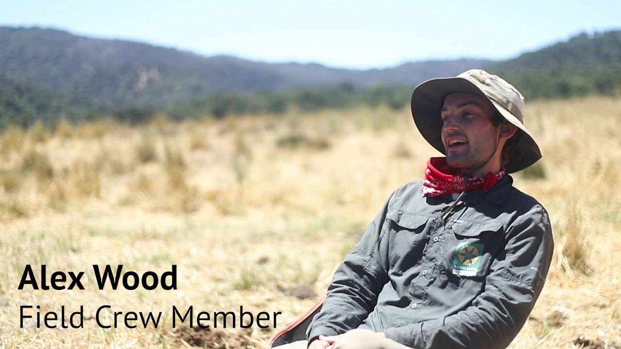 Grassland Restoration: Removing Invasive Plants on The Preserve in 2020