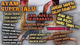tips per4watan ay4m suuper j4luu