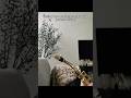 Rate the acoustics (I give them like a 4😭🎷) #saxophone #sax #saxsolo #saxplayer #misty #jazz