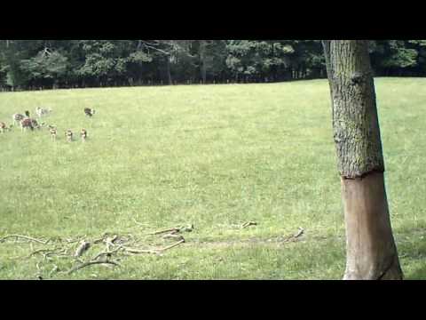 CLIP0012