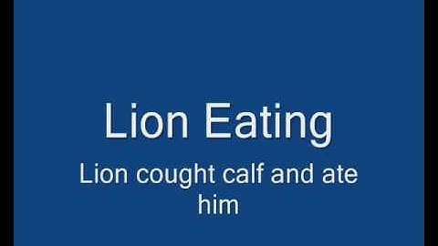 Buffalo Reproduction Simulation in NetLogo software