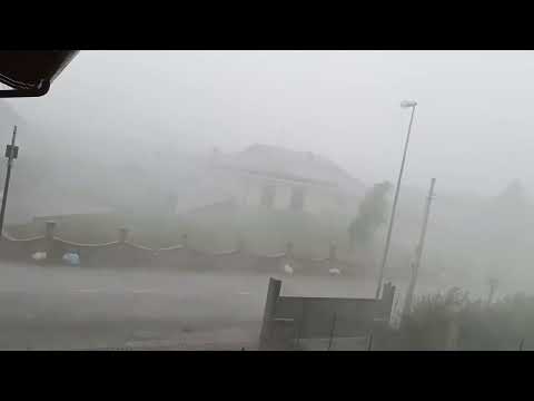 Video Maltempo in Veneto e Friuli: alberi caduti sulle strade, blackout e raffiche di vento