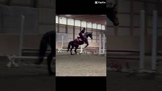 Thank You Z For Saving Us From My Horrific Distances Today