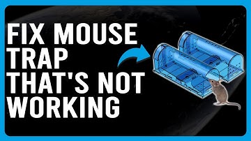 How To Fix Mouse Trap That