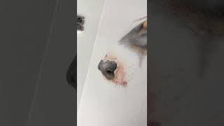 Behind the scenes of drawing my dog’s nose! ✍ #art #colouredpencilart #drawing #bullterrier