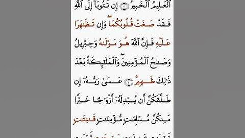 تلاوة خاشعة للشيخ سعد الغامدي سورة التحريم ۩ مكتوبة ۩ Sourate At Tahrim  Saad Al Ghamidi