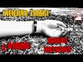 Novela de terror. Infierno zombi 5: Ahora: Malas noticias.