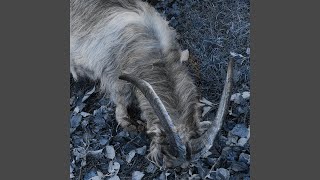 Download Lagu riser beat bounce (feat. skogsstjärna) MP3