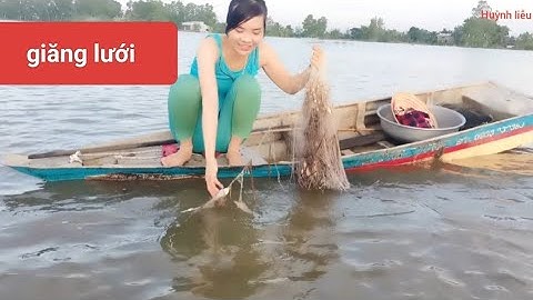 03/Giăng lưới mùa nước nổi dính bầy cá rô ngon quá 