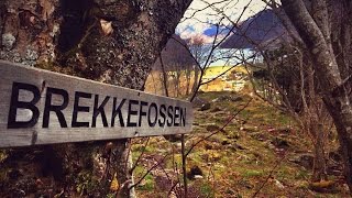 Norway In a Nutshell: This is Life