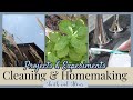 Clean With Me 2020 | Homemaking Projects & Experiments | How To Clean Grout