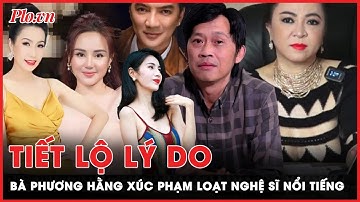 Lý do bà Nguyễn Phương Hằng quy kết các nghệ sĩ ăn chặn tiền từ thiện | PLO