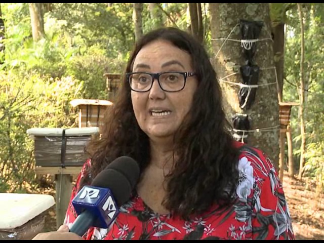 Impacto ambiental com a extinção de abelhas. ED 236 Bloco 1