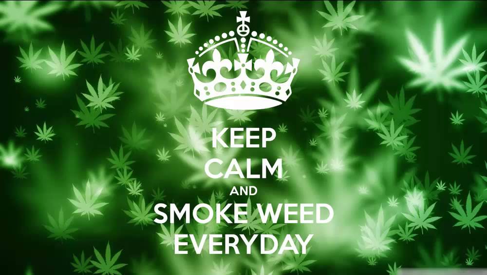 smoke weed every day :()