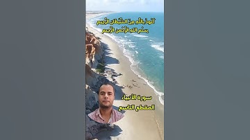 سورة الأنبياء المقطع التاسع.. محمود الجزار