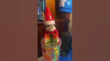 laugh out loud ELF PN THE SHELF PRESENT