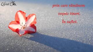 Nu Te Compromite Nu Te Ai Decât Pe Tine