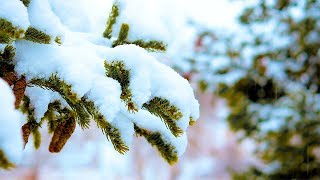 Calming Piano Music with Soft Falling Snow Sounds: Sleep Music, Beautiful Music, Stress Relief screenshot 1