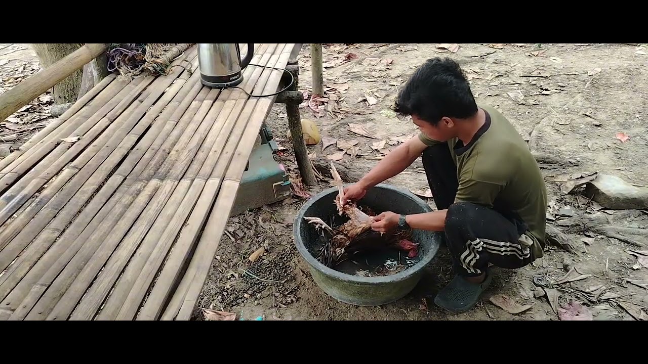 Marca Manok Rice Harvesting rice | At pag luluto ng karning manok I Paksiw native ...