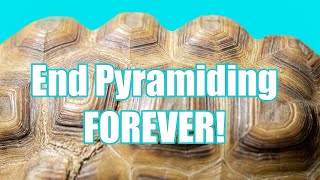 How To Stop Your Tortoise From Pyramiding!