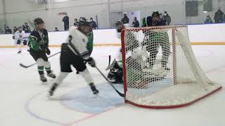 IMG 3214 GOAL 15 PRAIRIE CHICKEN 1 1