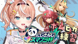 【#にじさんじスマブラ杯】カプ廚ホムヒカ修行僧【にじさんじ/五十嵐梨花】
