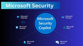 Microsoft 365 & Azure Security Intro Net Worth