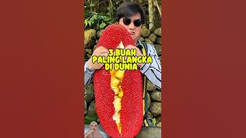 3 BUAH PALING LANGKA DI DUNIA 🍉🍇