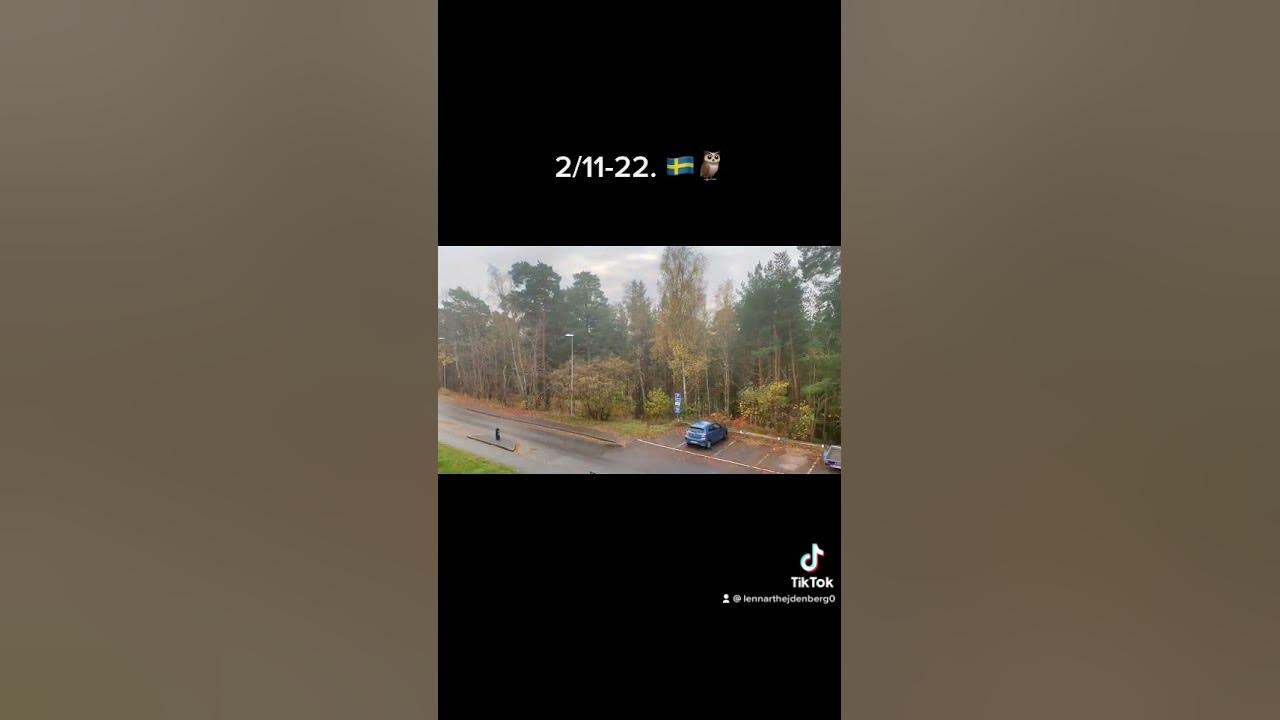 Weather today Tumba 🇸🇪🇸🇪🦉🦉. 2/1122. Ca 11 gr 🇸🇪🦉 YouTube