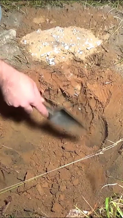Casting a Fire Ant Colony with Molten Aluminum (Cast #043) #shorts